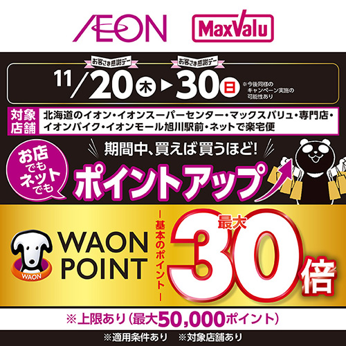 ポイントアップ企画