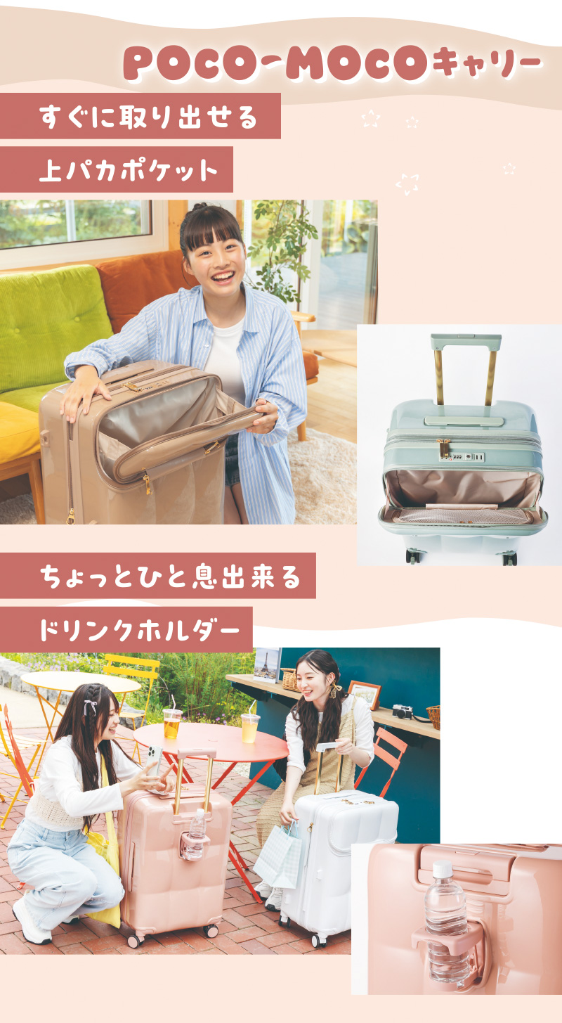 秋のトラベルキャリー