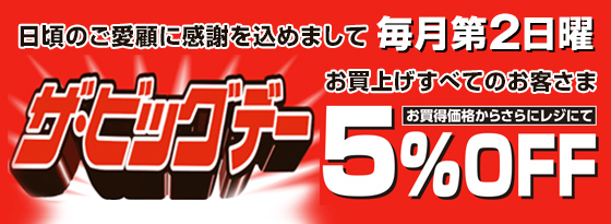 ビッグデー