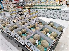 イオン札幌苗穂店 イオン北海道株式会社 イオン札幌苗穂店 イオン北海道株式会社