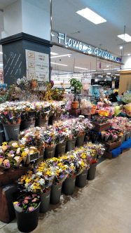 春のお彼岸 フラワー ガ デンからのお知らせ イオン北海道株式会社 春のお彼岸 フラワー ガ デンからのお知らせ イオン北海道株式会社