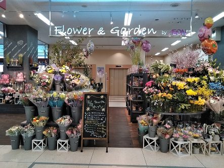 フラワー ガーデン売場 リフレッシュオープン イオン北海道株式会社 フラワー ガーデン売場 リフレッシュオープン イオン北海道株式会社