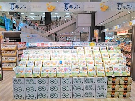 夏ギフト お中元 は イオン東札幌店で イオン北海道株式会社 夏ギフト お中元 は イオン東札幌店で イオン北海道株式会社