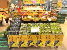 イオン伊達店 イオン北海道株式会社