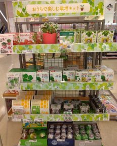 お部屋で育てる『育成植物』お取り扱い中