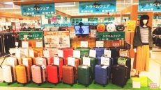 トラベルフェアただいま開催中です♪