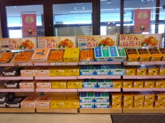 冬といえばみかんですよね🍊