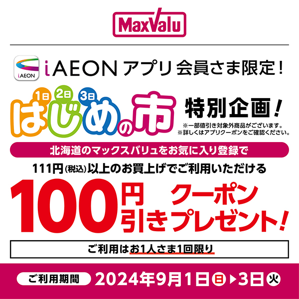 最新版】イオン イオン北海道 株主優待券 2冊 20,000円分 【公式