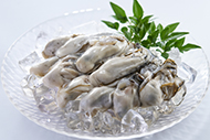 生かきむき身（生食用）