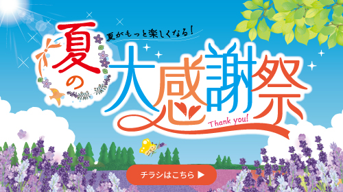 夏の大感謝祭チラシ（6/6～6/15）