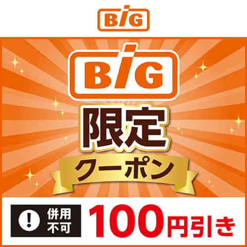 ザ・ビッグ100円引きクーポン(11/1~11/30)