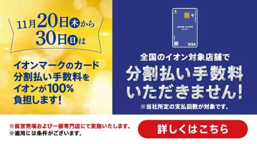 イオンカード分割手数料無料
