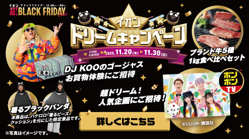 ブラックフライデードリームキャンペーン