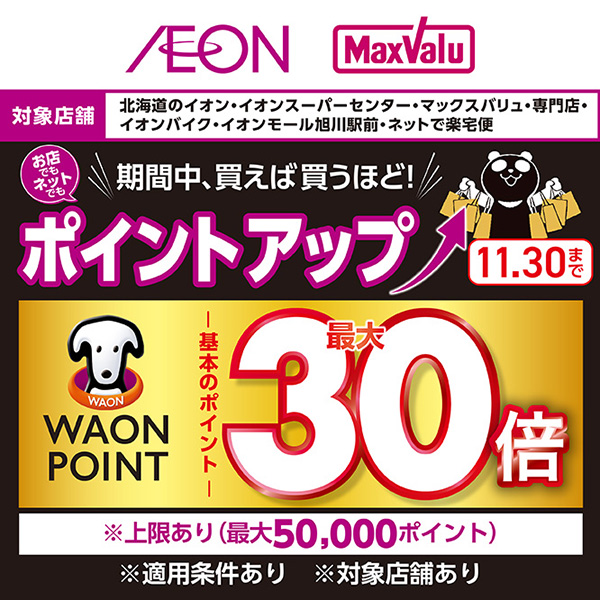 ブラックフライデーポイントアップ企画