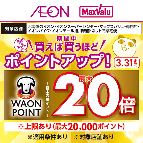 ポイントアップ企画（3/13～3/31）