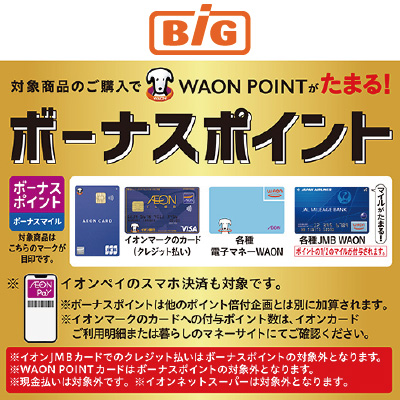 WAONボーナスポイント5月BIG（～5/31）