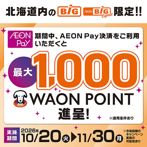 ザ・ビッグ限定ポイント企画（10/20～11/30）