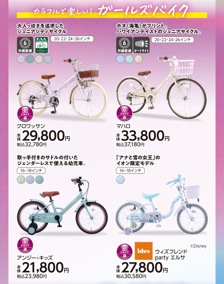 イオンのサイクル05