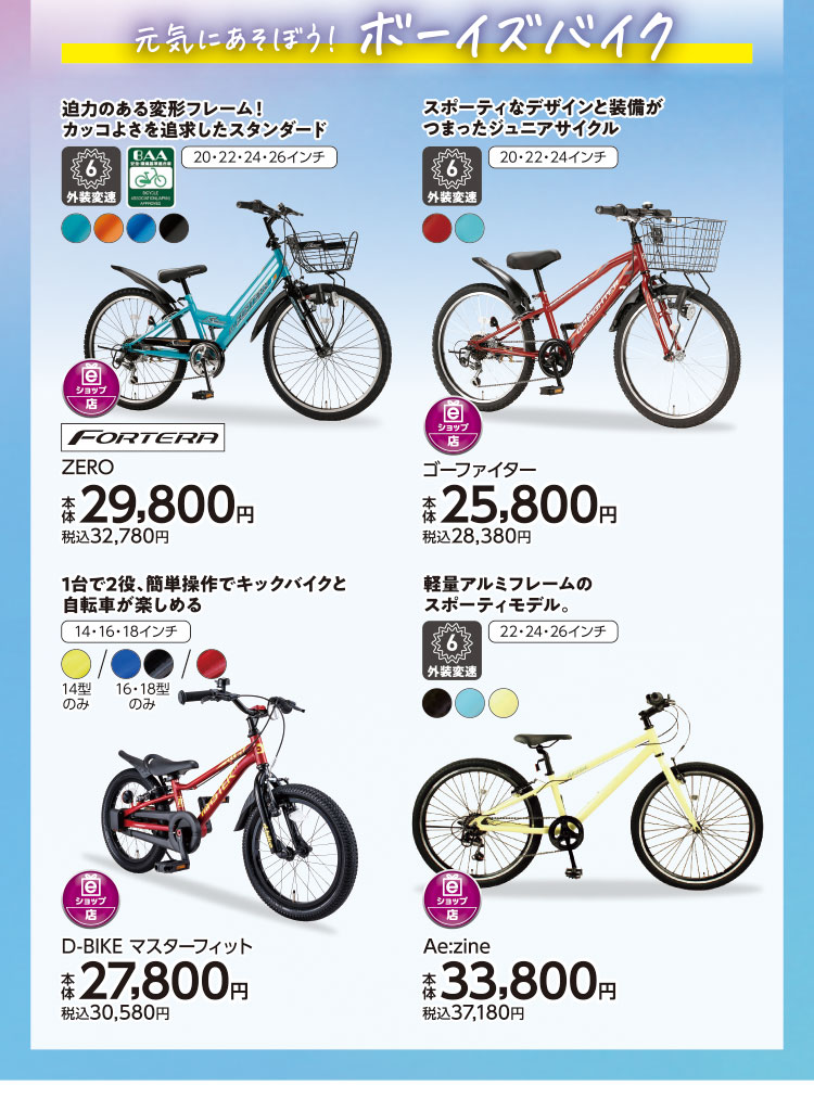 イオンのサイクル06