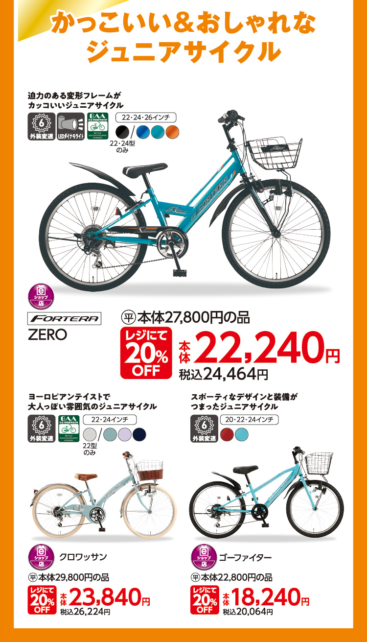イオンのサイクル07
