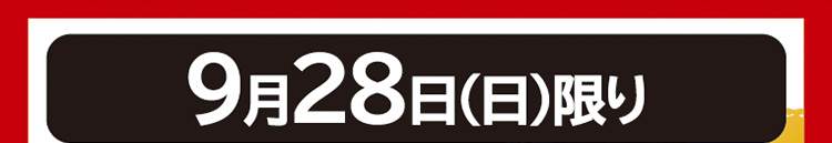 ファイターズセール本告