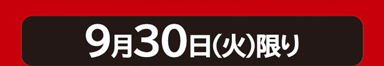 ファイターズセール本告