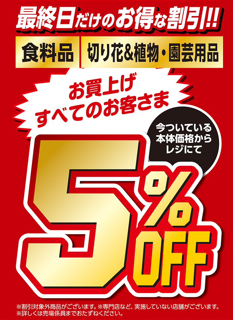ファイターズセール本告