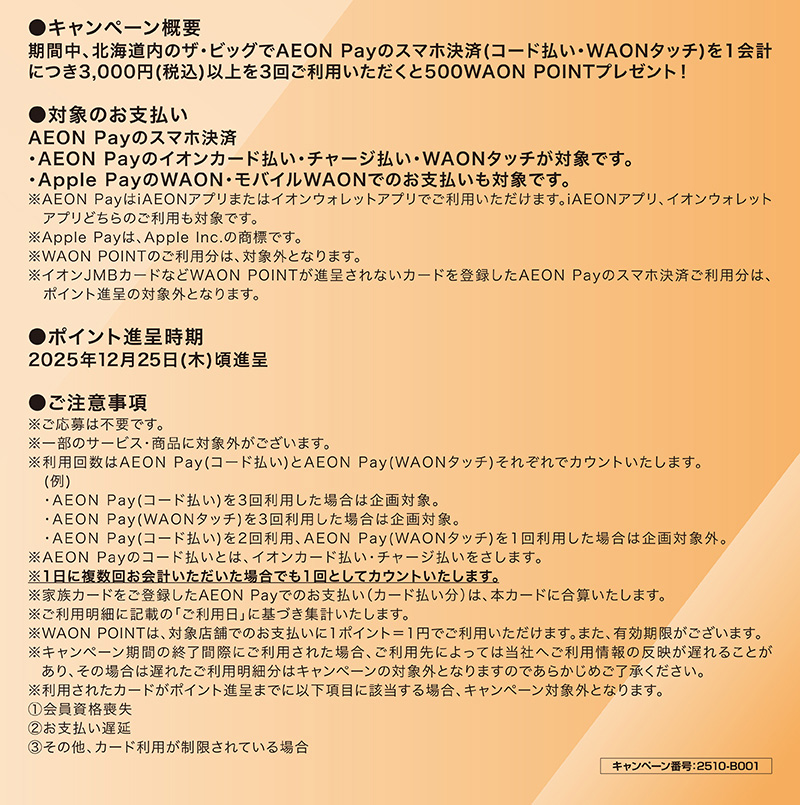 ザ・ビッグ限定ポイント企画