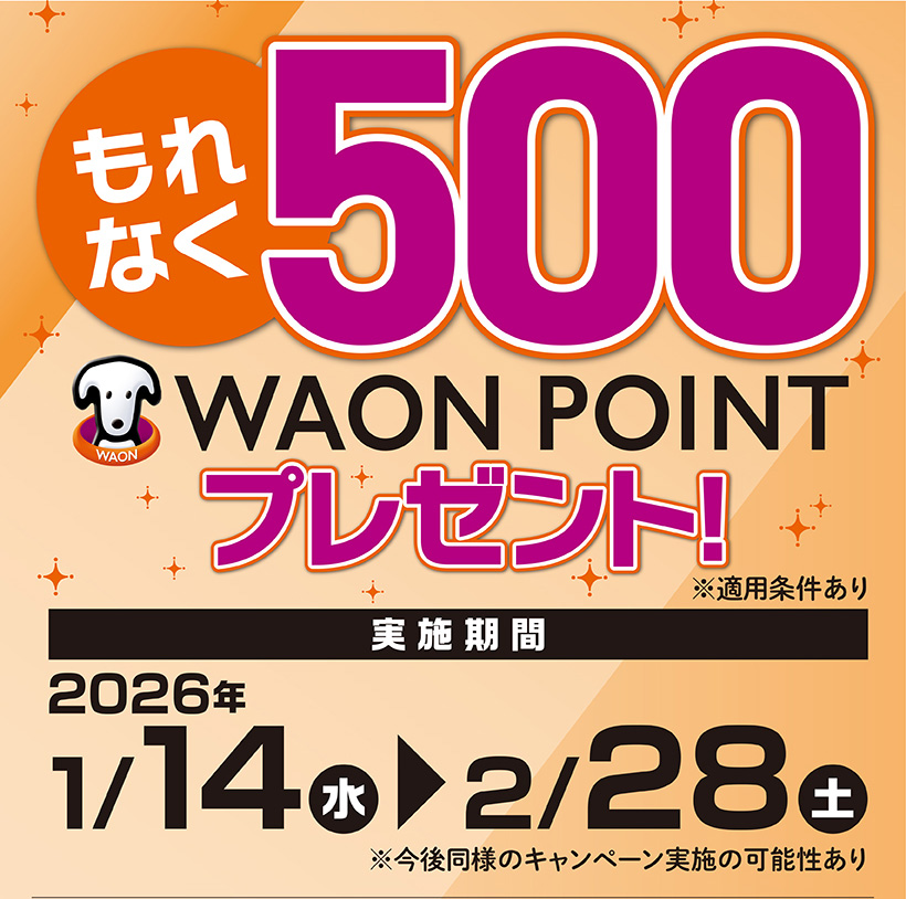 iAEON ザ・ビッグ限定ポイントアップ企画