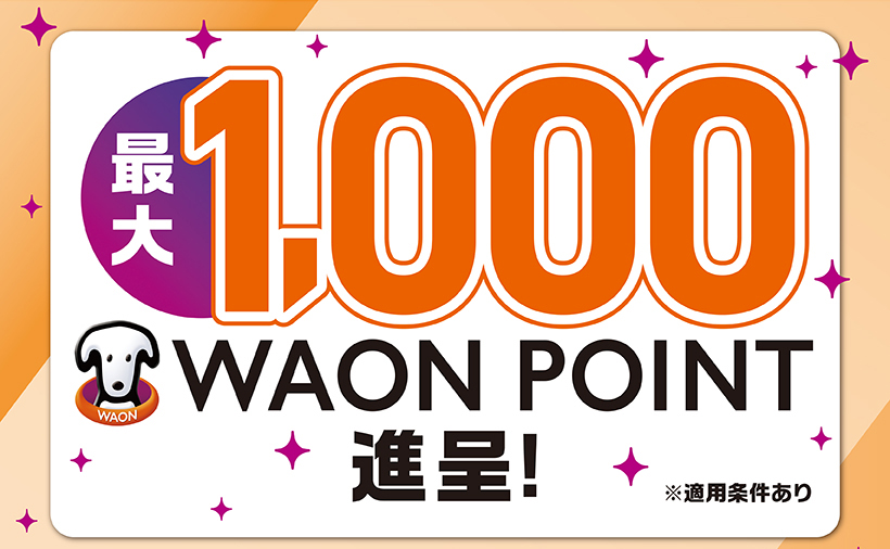 iAEON ザ・ビッグ限定ポイント企画