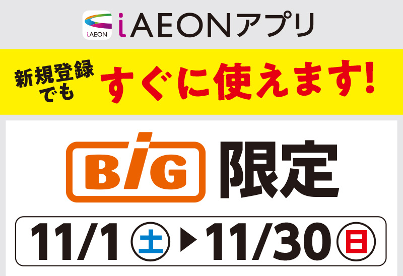 ザ・ビッグ100円引きクーポン