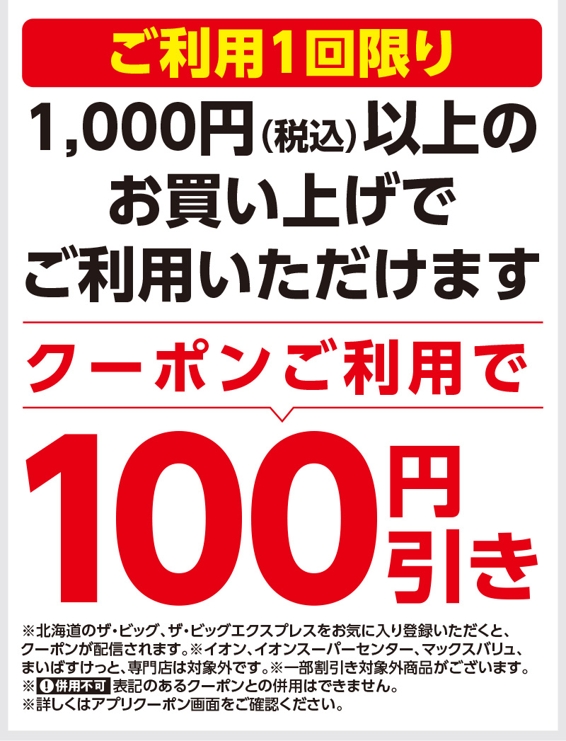 ザ・ビッグ100円引きクーポン