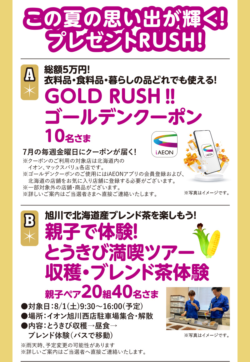 イオン北海道　GW応募ポスト企画