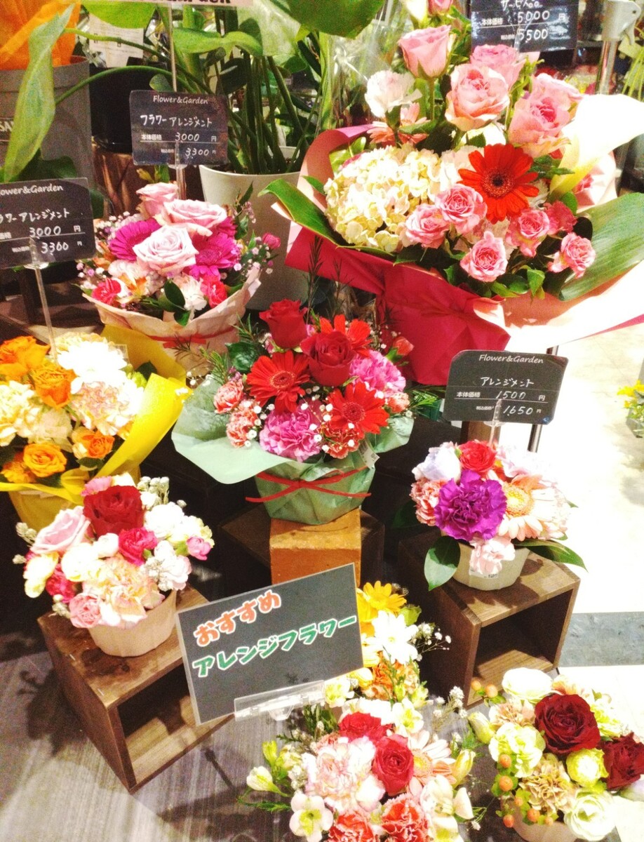 イオン釧路昭和店