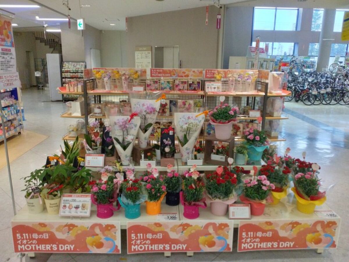 ５月１１日（日）まで　母の日フラワーギフト