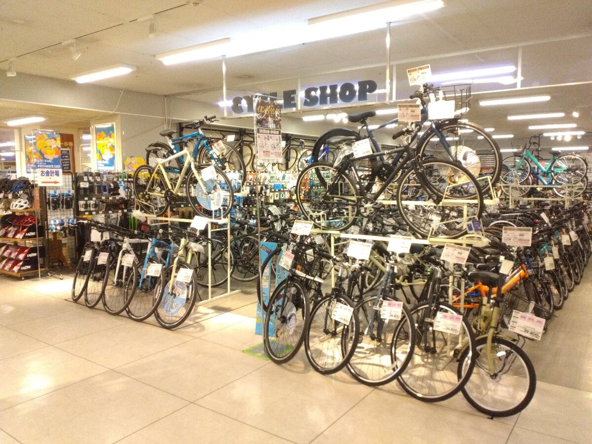夏のサイクル