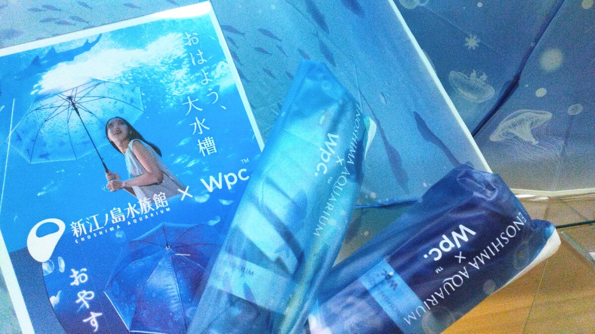 青色の傘で爽やか夏気分🐟
