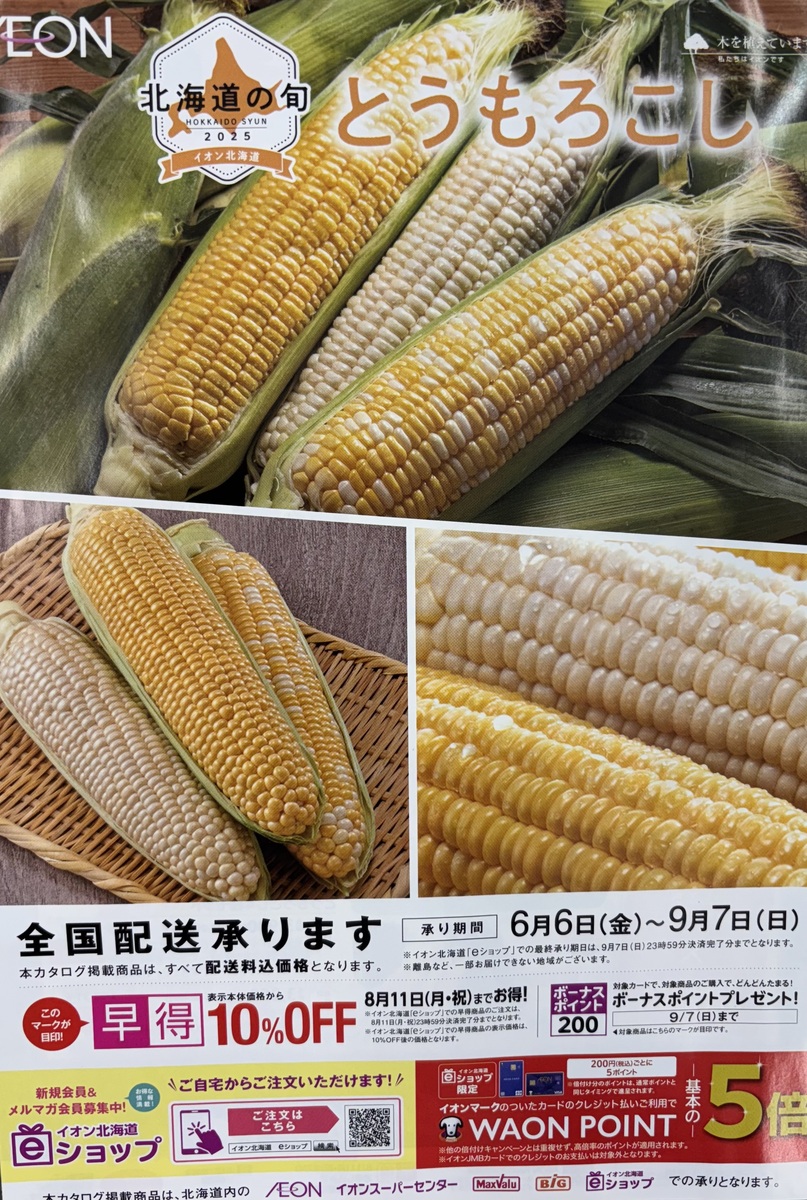 【9月7日（日）まで】　とうもろこしのご案内
