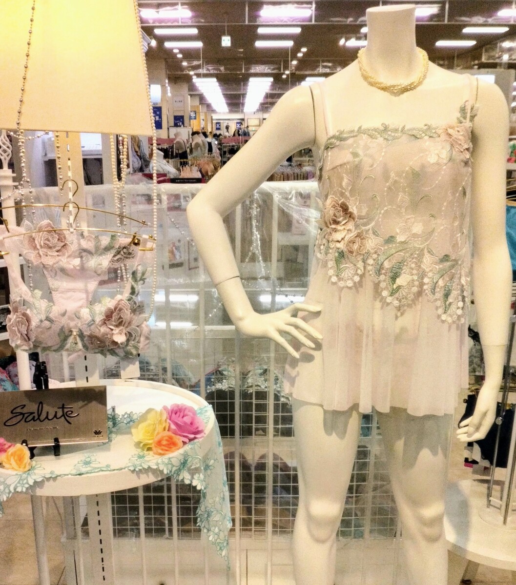 Wacoal Salute プレステージグループ入荷✨