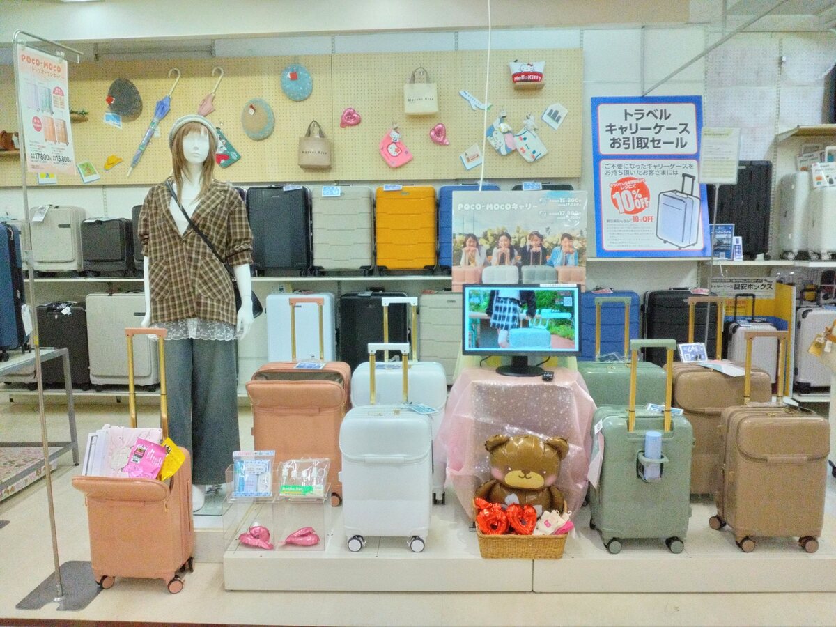 旅行シーズン到来、かわいいキャリー入荷しました