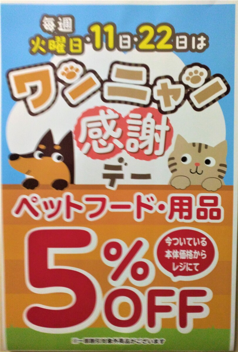 ペット用品コーナーよりご案内です🐶🐱