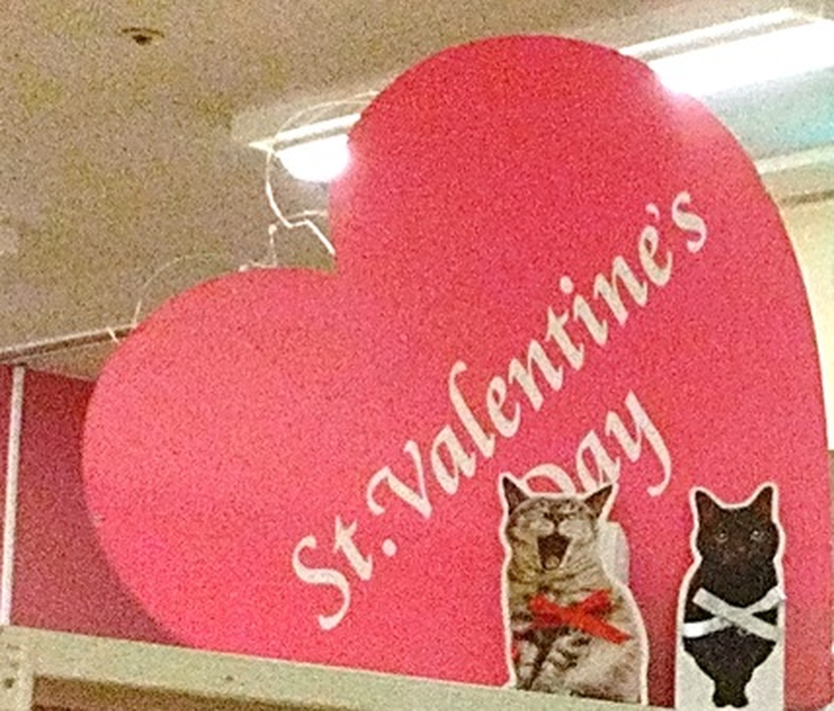 💘バレンタインコーナー開設中!💘