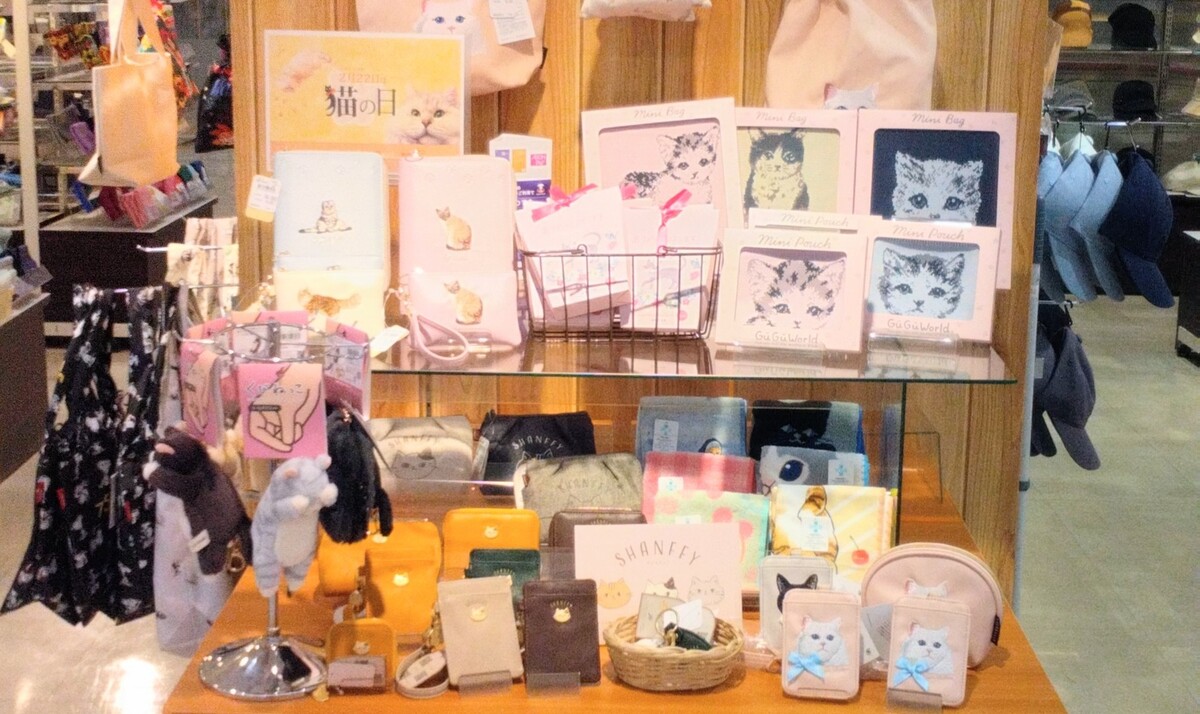 猫ちゃん大集合😺猫の日コーナー😺