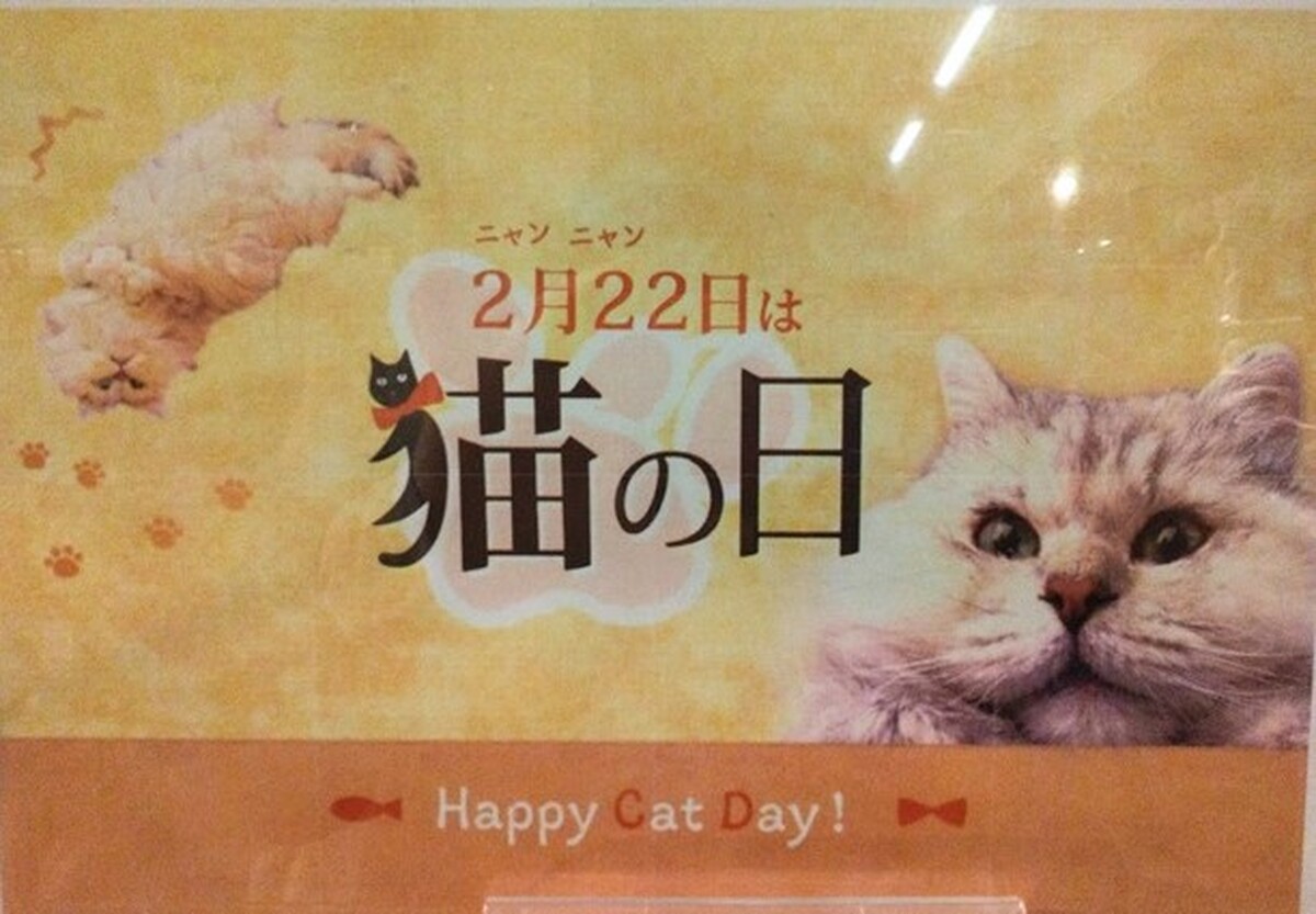 2月22日は『猫の日』😺