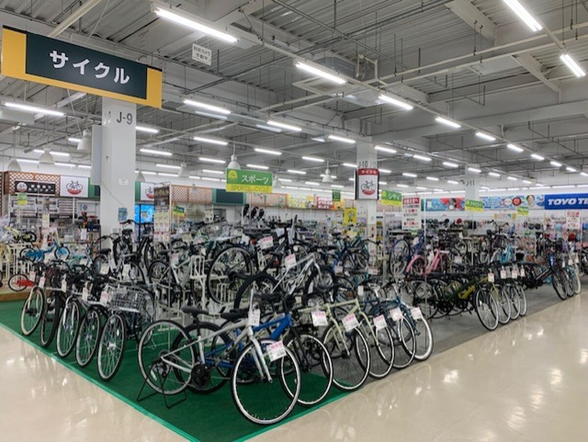 春のサイクル特集♪