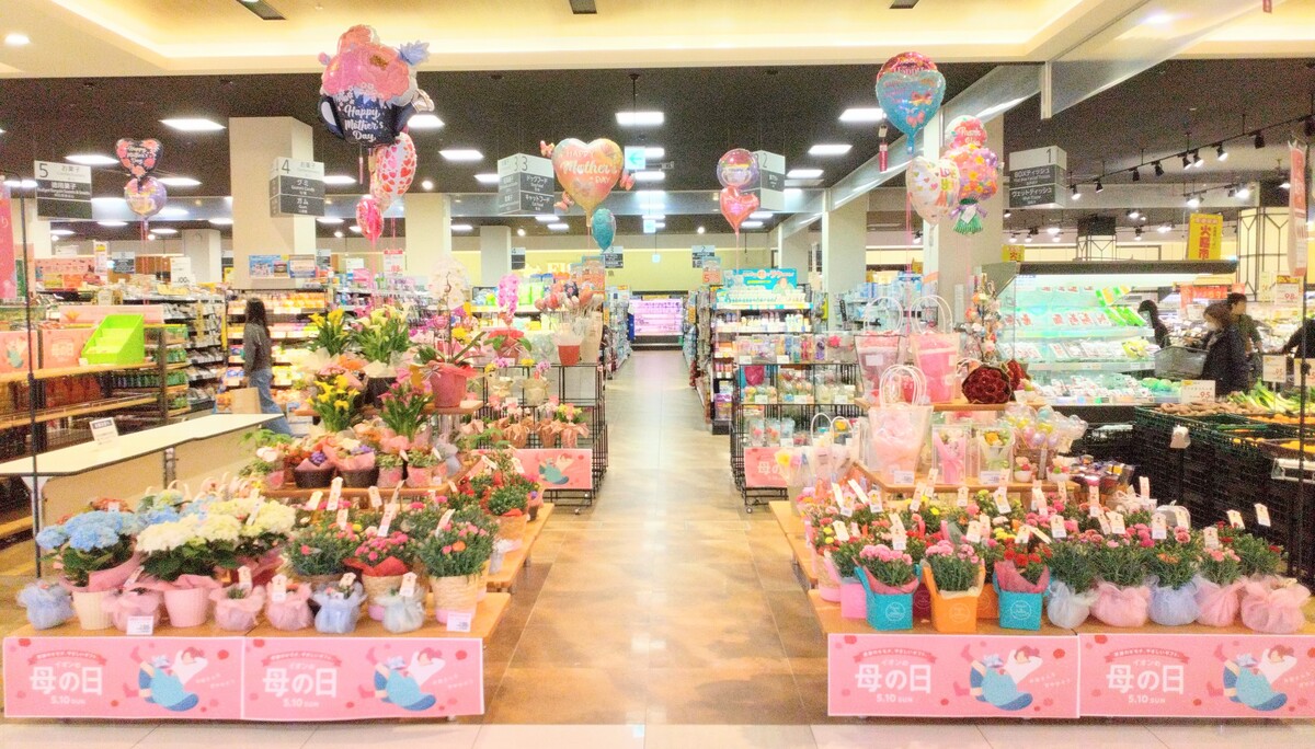 🌸母の日のお花入荷しました🌸