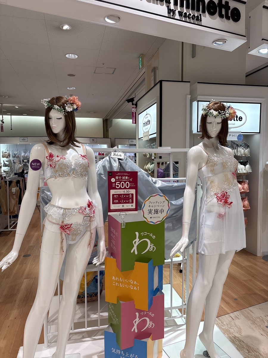 シュシュミネットよりサルート38G新作のご案内✨