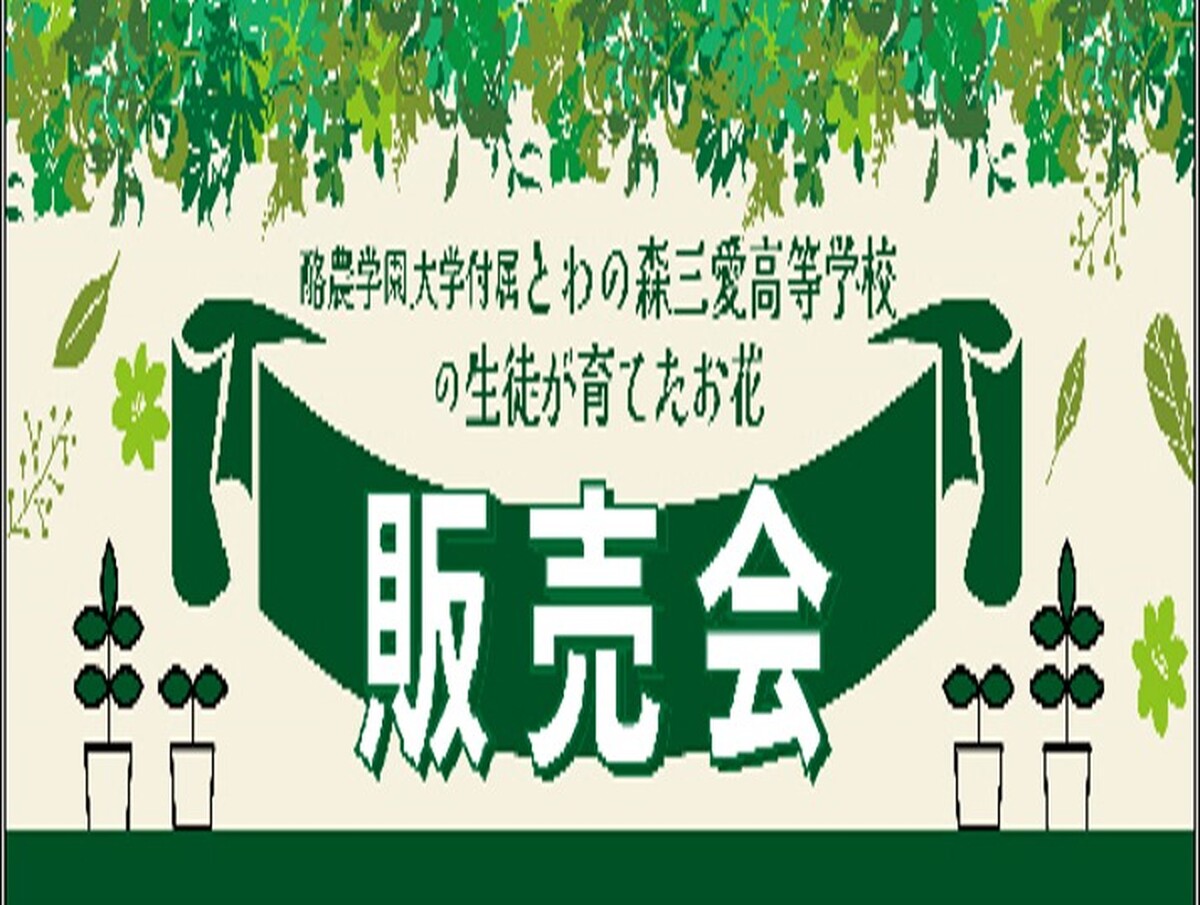 🌻花苗イベントのお知らせ🎉🎉