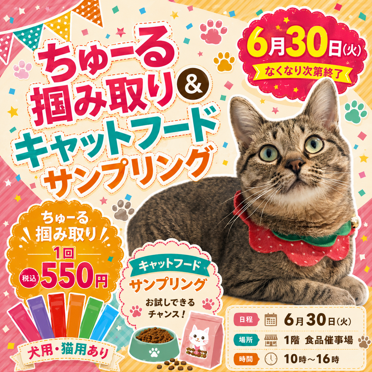 ★予告★　6/30(火) ちゅ〜る掴み取り&キャットフードサンプリング行います！