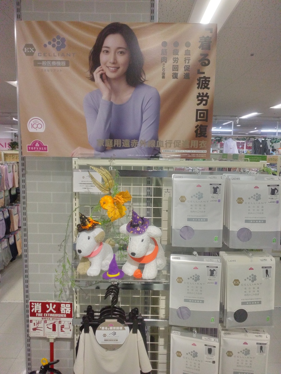 イオン湯川店